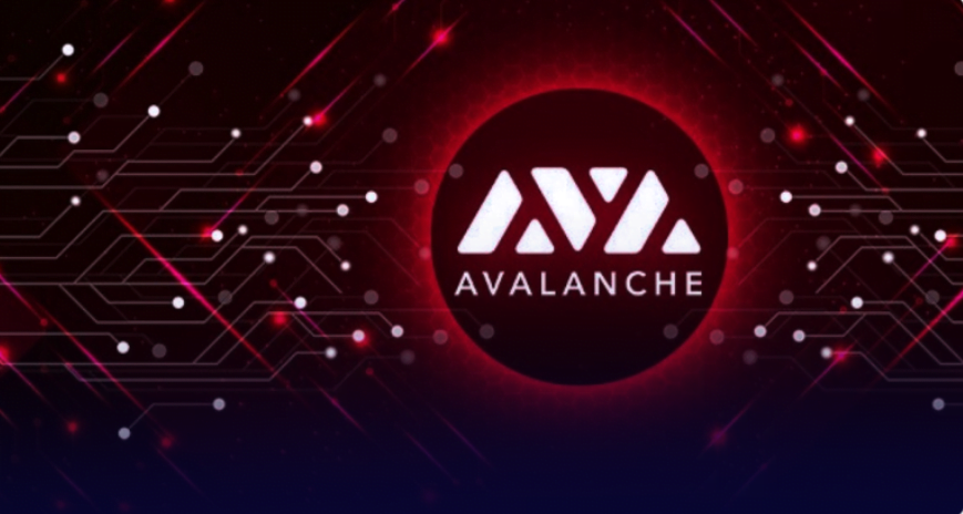 Avalanche: This Week's Alternative for Ethereum Because of Gas Fees