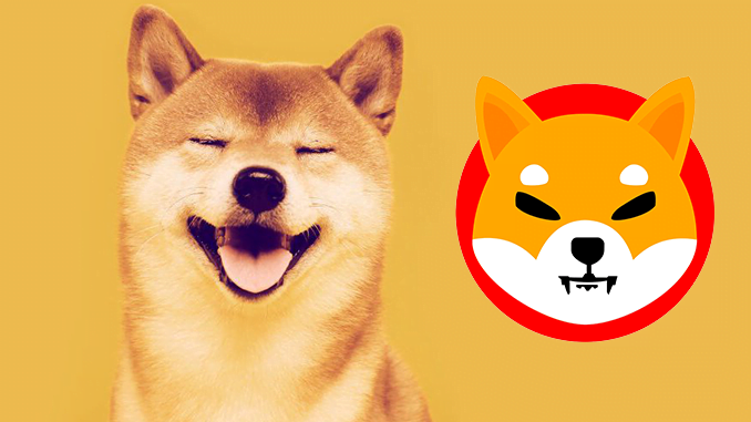 Shiba Inu Surpasses Dogecoin, Ready To Be Popular Altcoin