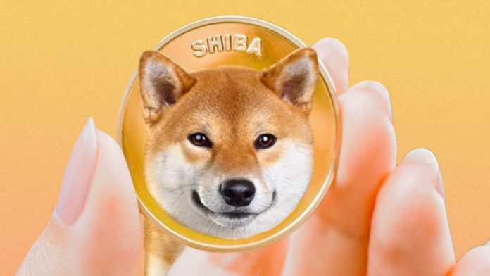 Shiba