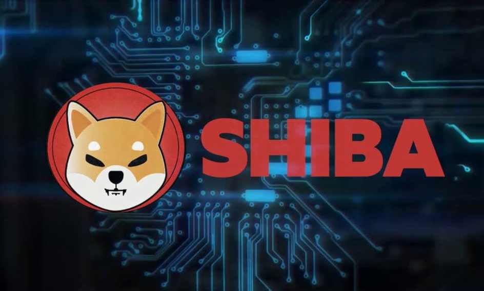 SHIB price falls to double-digit losses